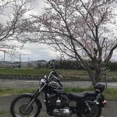 ハーレーダビッドソン スポーツスター　XL1200C (2001)の画像