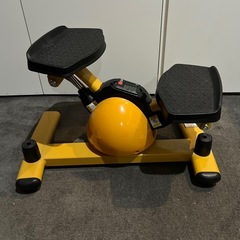 ルネサンス　ツイストエアロステッパー　の画像