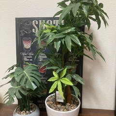 インテリア🌱⋆｡フェイクグリーンセット‼️
美品の画像