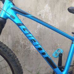 GIANT Talon3 ジャイアントマウンテンの画像