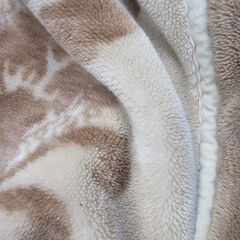 西川　NISHIKAWA 高級毛布　 シングル　ベージュ系の画像