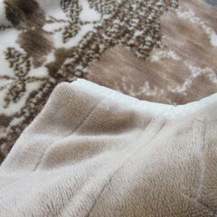 西川　NISHIKAWA 高級毛布　 シングル　ベージュ系の画像