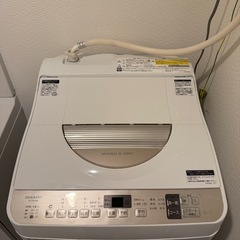 SHARP洗濯機の画像