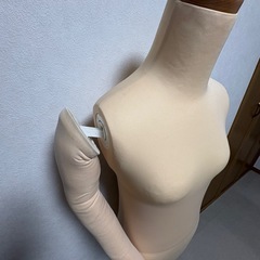 和装ボディ マネキン 着付け トルソー フレキ腕付き (ベージュ色) の画像