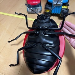 巨大　てんとうむし　昆虫の画像