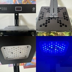 オーバーフロー水槽フルセット 海水水槽の画像