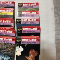 週刊朝日百科　動物たちの地球　全144号※77号のみ欠品　の画像