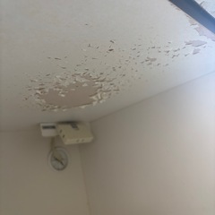 キッチン収納棚の画像