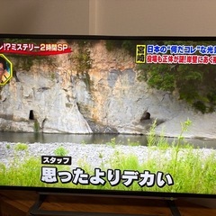 [【受け渡し予定者決定】TOSHIBA REGZA テレビ　43インチ　　の画像