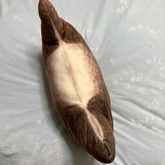 クッション　猫　の画像