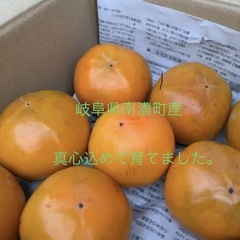 岐阜県　海津市産　富有柿　⑥
