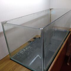ガラス製アクアリウム水槽の画像