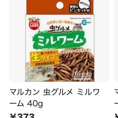 小動物　セット　半額の画像