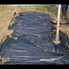 まぜほり職人マルチ用　マルチ穴に植え穴を掘る草払い機用替刃 サトウキビの補植や島ダッキョウの深植えに最適　説明動画ありますの画像