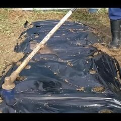 まぜほり職人マルチ用　マルチ穴に植え穴を掘る草払い機用替刃 サトウキビの補植や島ダッキョウの深植えに最適　説明動画ありますの画像