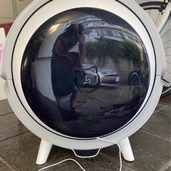 猫用自動
トイレの画像