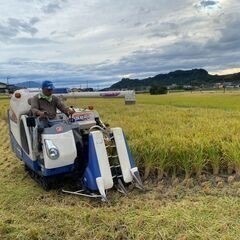 新米モミ1俵30キロ12000円ですの画像