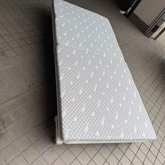 美品　ベット多の画像