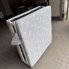 美品　ベット多の画像