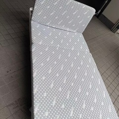 美品　ベット多の画像