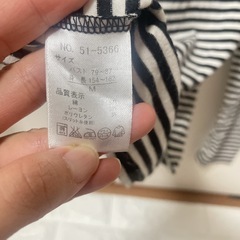 ボーダーロンTの画像