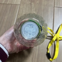 光るパイナップルボトル の画像