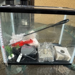 【国分寺】差し上げます！ファイブプラン　水槽　横幅32センチ　セット　　の画像