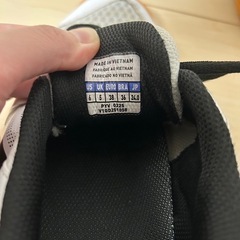 ミズノ　cyclone speed5  24.0の画像