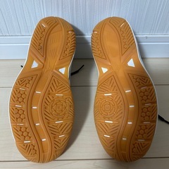 ミズノ　cyclone speed5  24.0の画像