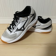 ミズノ　cyclone speed5  24.0の画像