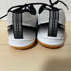 ミズノ　cyclone speed5  24.0の画像