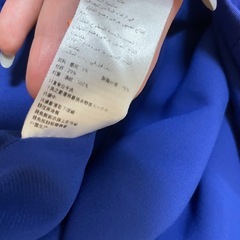 Evelyn Belluci 刺繍　ドレスの画像