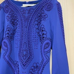 Evelyn Belluci 刺繍　ドレスの画像