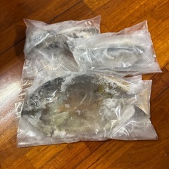 打ち込みエサ（ボラ、アイゴ、アオリイカ、島ダコ、しがやーシガヤー）の画像