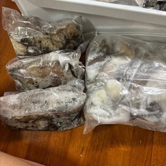 打ち込みエサ（ボラ、アイゴ、アオリイカ、島ダコ、しがやーシガヤー）の画像