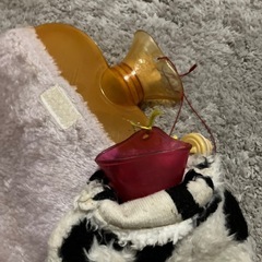 湯たんぽの画像