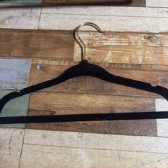 ミニハンガー キッズ 子供用 10本せつセットの画像