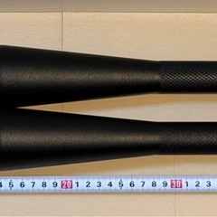 RITFIT クラブベル ステンレス製 6kg の画像