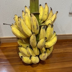 アイスクリームバナナの画像