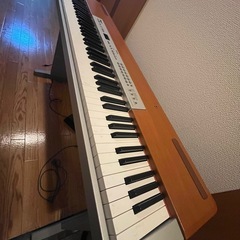 YAMAHA P120の画像