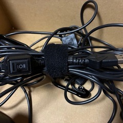 Barebones Living ベアボーンズリビング エジソンスリングライトLEDの画像