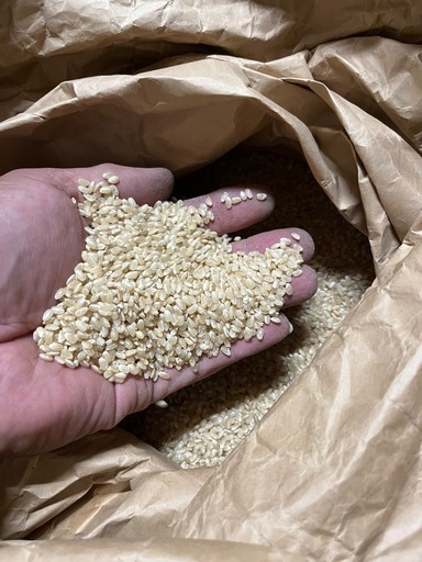 コシヒカリ玄米 12kg