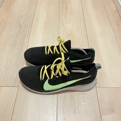 NIKE フライニットの画像