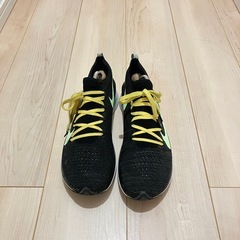 NIKE フライニットの画像