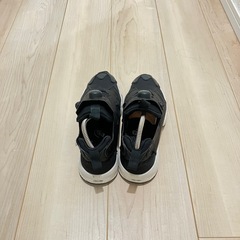 リーボック　insta pumpの画像