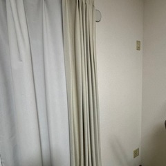 【決まりました】ニトリ　カーテンの画像