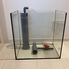 オーバーフロー水槽の画像