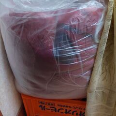 Mink blanket の画像