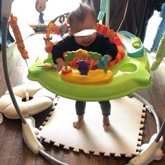 ジャンピングバウンサー　ジャンパルー　ぴょんぴょんジャンプ　おもちゃの画像