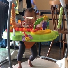 ジャンピングバウンサー　ジャンパルー　ぴょんぴょんジャンプ　おもちゃの画像